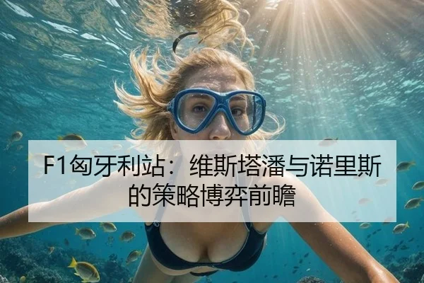 F1匈牙利站：维斯塔潘与诺里斯的策略博弈前瞻